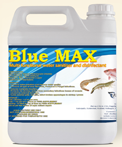 Blue-max