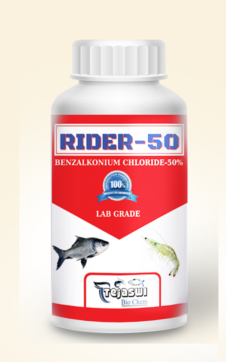 rider-50