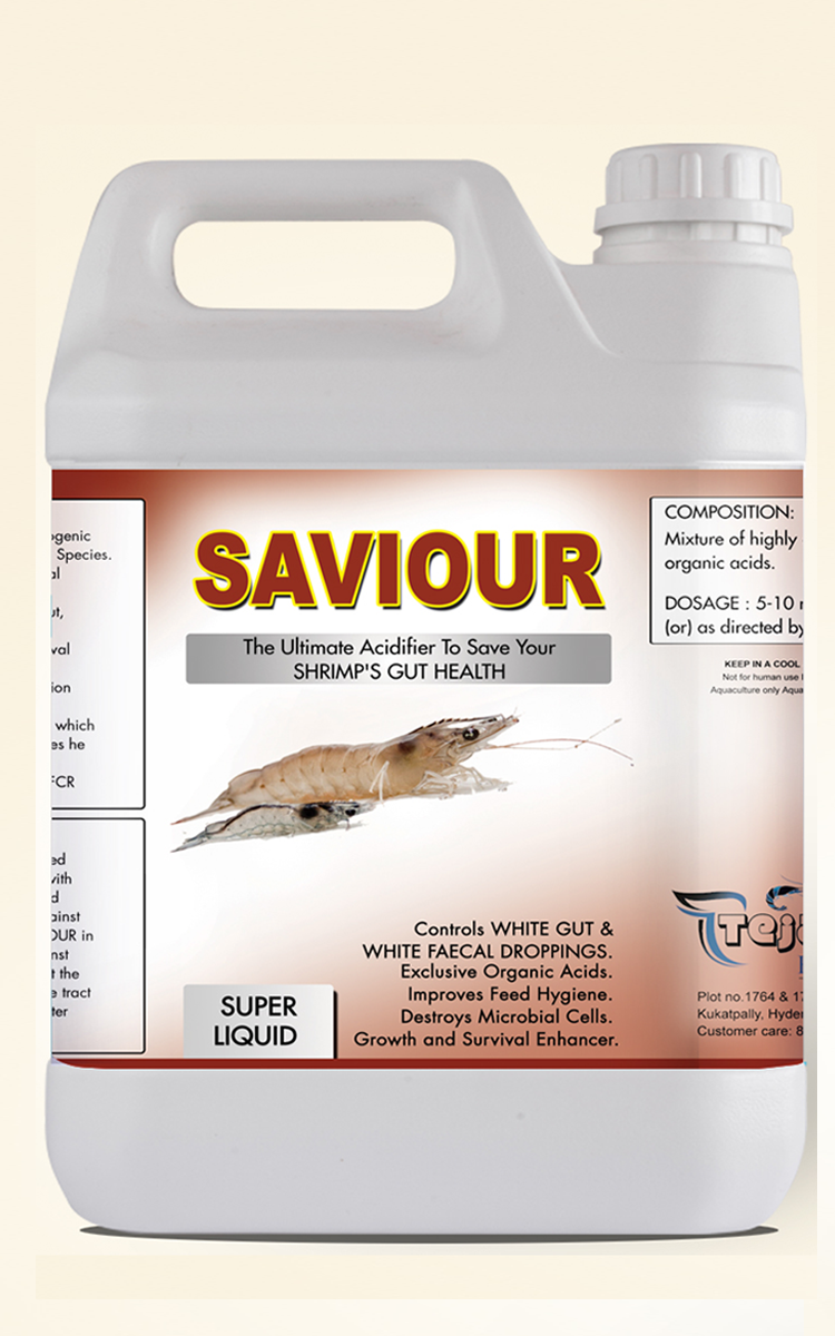 Savior